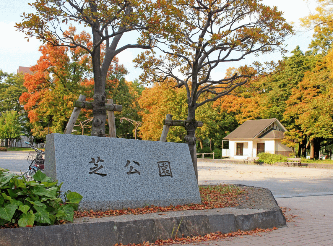 Shiba Park Autumn Leaf Valley with gold and red foliage near Tokyo Tower